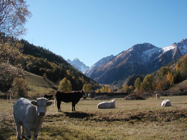 Signez la pétition contre le projet de Club Med à VALLOIRE !